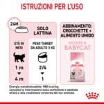 RC-SPT-WET-Babycat-CAN-CV-7-it_IT