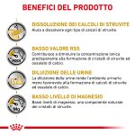 RC-VET-DRY-DogUrinarySO-CV-Eretailkit-3-it_IT