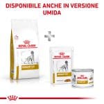 RC-VET-DRY-DogUrinarySO-CV-Eretailkit-6-it_IT