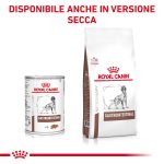 RC-VHN-GastrointestinalWet-400g-CV-Eretailkit-6-it_IT.pdf