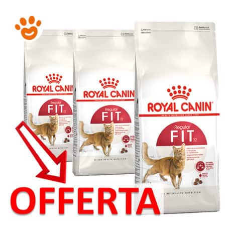 Royal Canin Cat Fit 32 - Amore Animale Shop