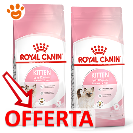 Royal Canin Cat Kitten Amore Animale Shop