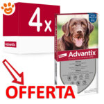 elanco-dog-advantix-spot-on-25-40kg-4-pipette