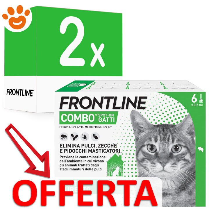 frontline-combo-gatto-2x