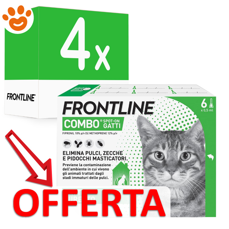 frontline-combo-gatto-4x