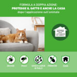 frontline-combo-gatto-gallery