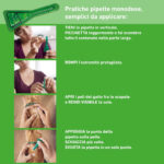 frontline-combo-gatto-gallery-2