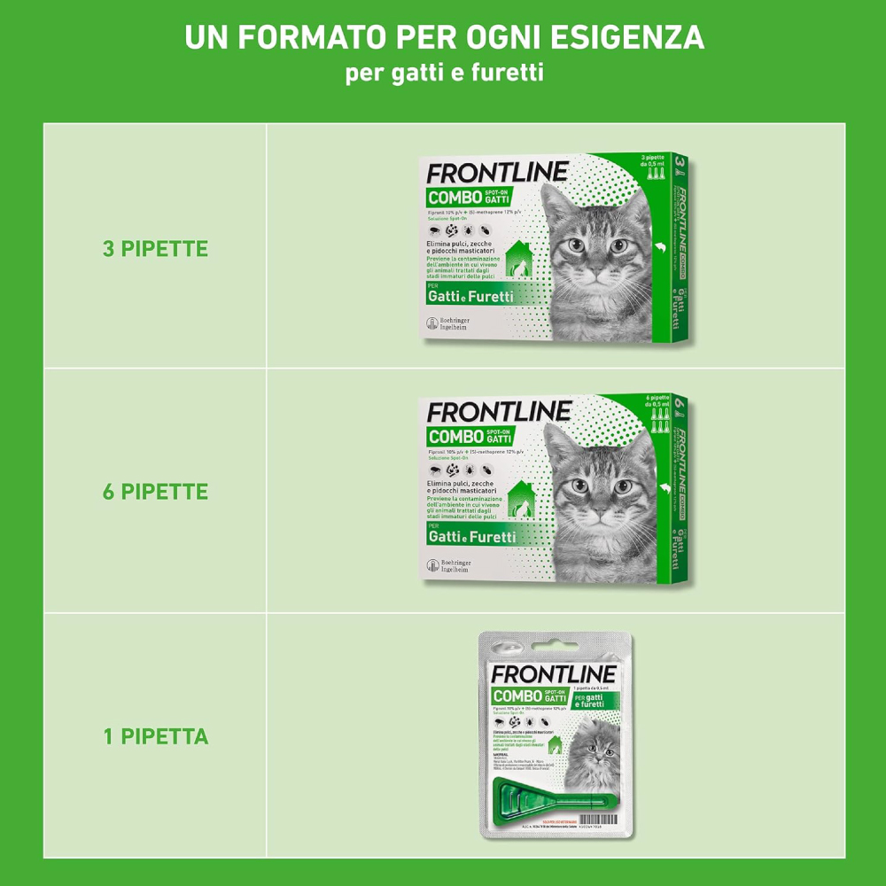 frontline-combo-gatto-gallery-3