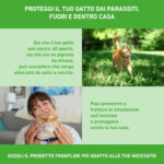 frontline-combo-gatto-gallery-4
