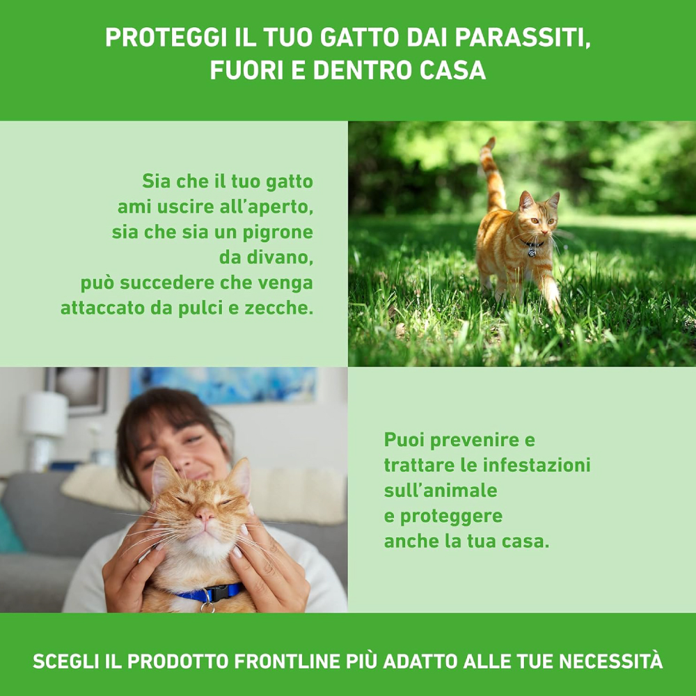 frontline-combo-gatto-gallery-4