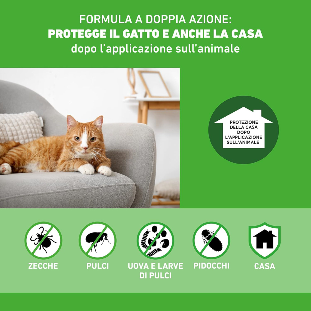 frontline-combo-gatto-gallery