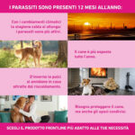 frontline-tri-act-cani-2-5-kg-gallery-4