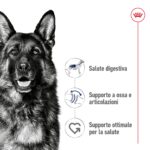 rc-shn-dog-maxiadult-new (2)