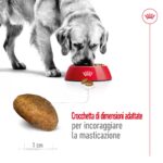rc-shn-dog-maxiadult-new (4)