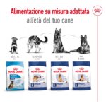 rc-shn-dog-maxiadult-new (5)