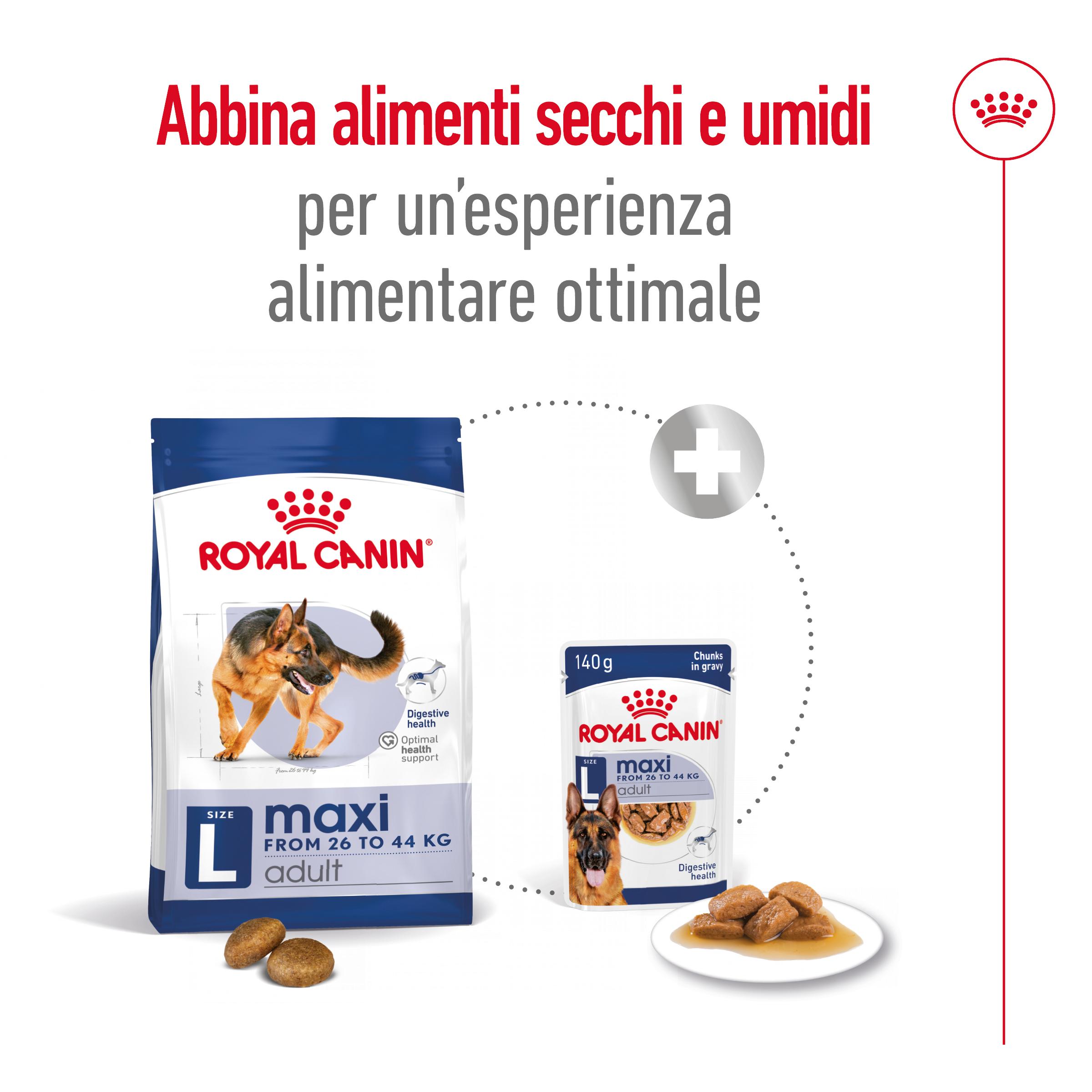 rc-shn-dog-maxiadult-new (6)