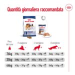 rc-shn-dog-maxiadult-new (8)