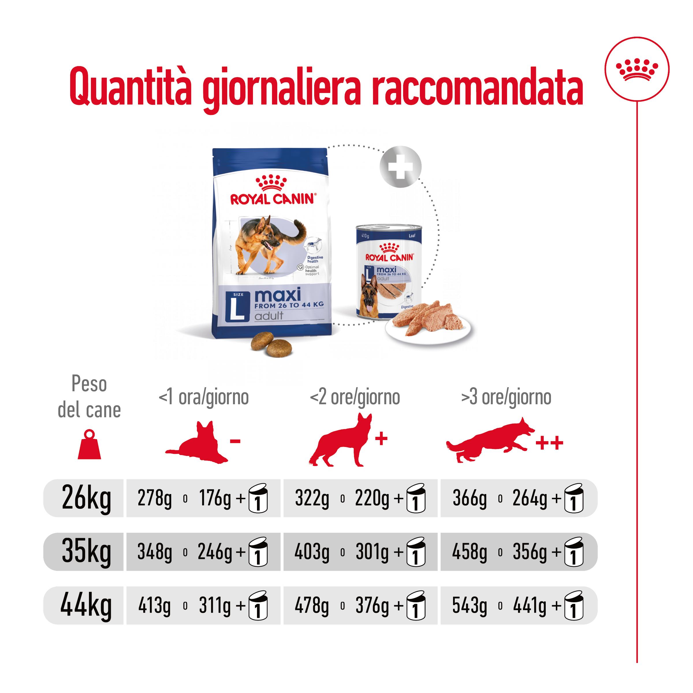 rc-shn-dog-maxiadult-new (8)