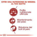 royal-canin-cat-fit-32-2