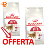 royal-canin-cat-fit-32-mp