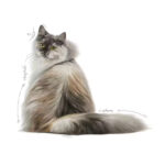 royal-canin-cat-hair-skin-care-3