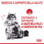 royal-canin-cat-hair-skin-care-5