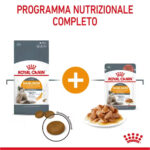 royal-canin-cat-hair-skin-care-7