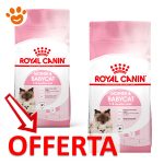 royal-canin-cat-mother&babycat-mp