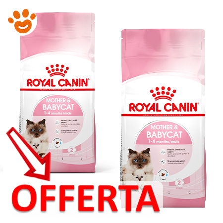 royal-canin-cat-mother&babycat-mp