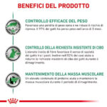 royal-canin-cat-obesity-management-secco-gallery-1