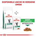 royal-canin-cat-obesity-management-secco-gallery-2