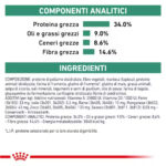 royal-canin-cat-obesity-management-secco-gallery-3