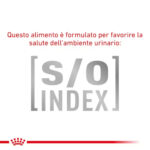 royal-canin-cat-obesity-management-secco-gallery-4