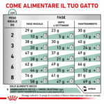 royal-canin-cat-obesity-management-secco-gallery-5