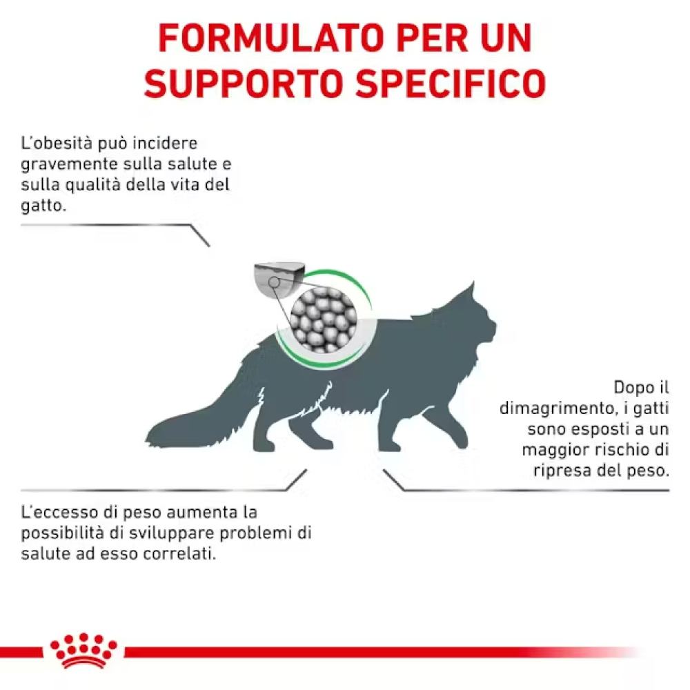 royal-canin-cat-obesity-management-secco-gallery