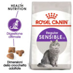 royal-canin-cat-sensible-1