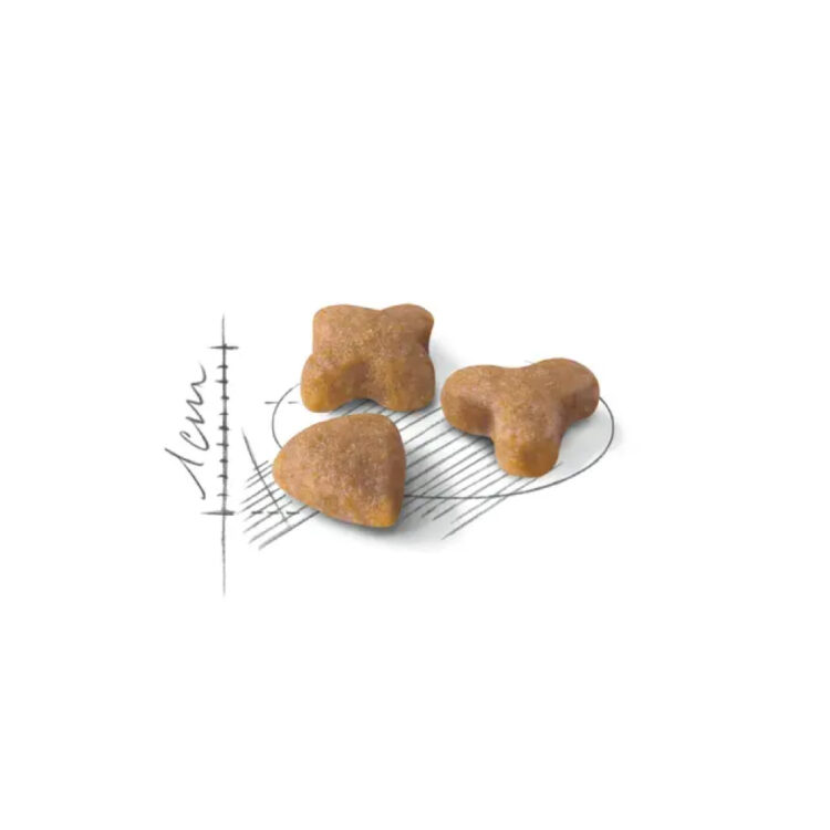 royal-canin-cat-sensible-2