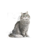 royal-canin-cat-sensible-3