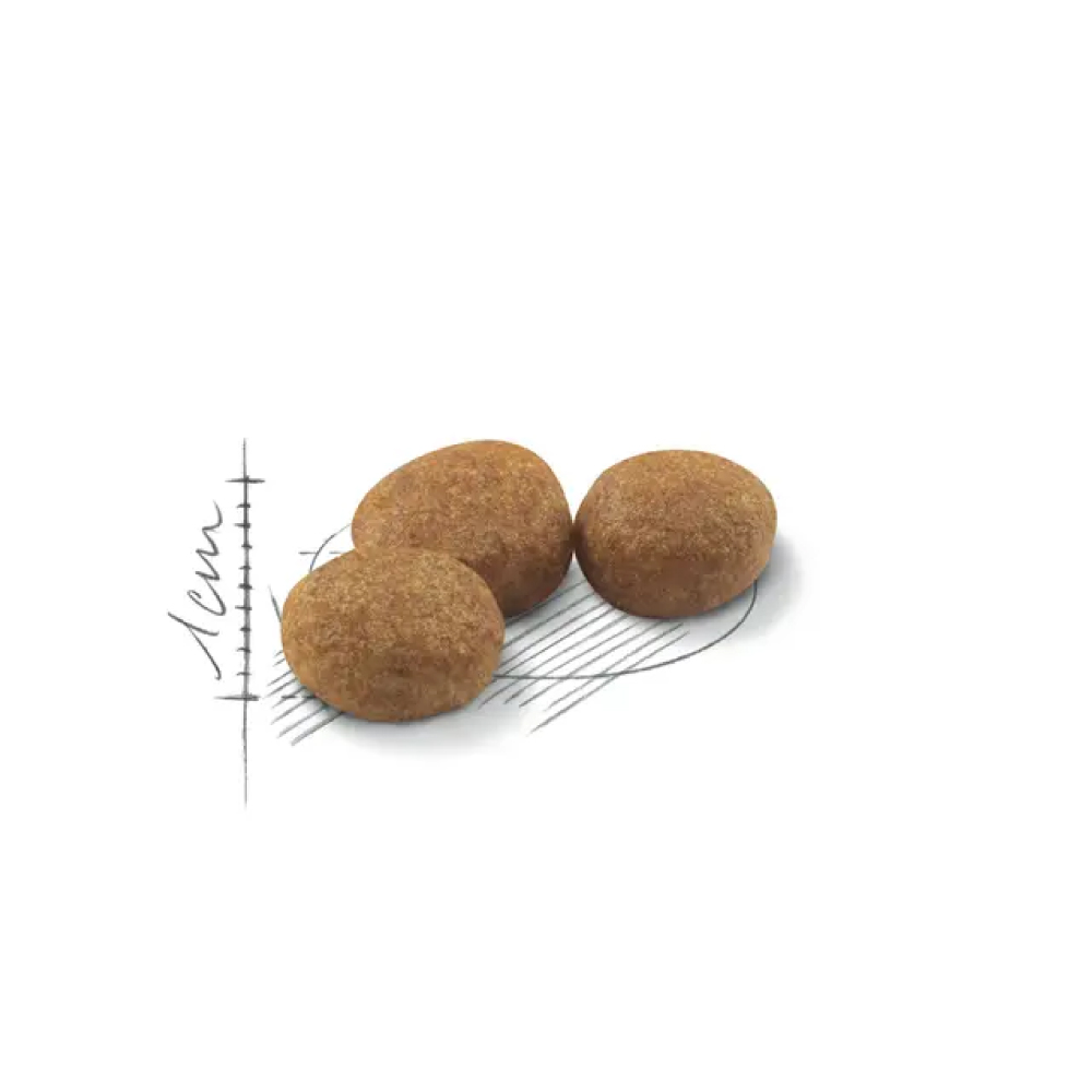 royal-canin-cat-sterilised-37-2