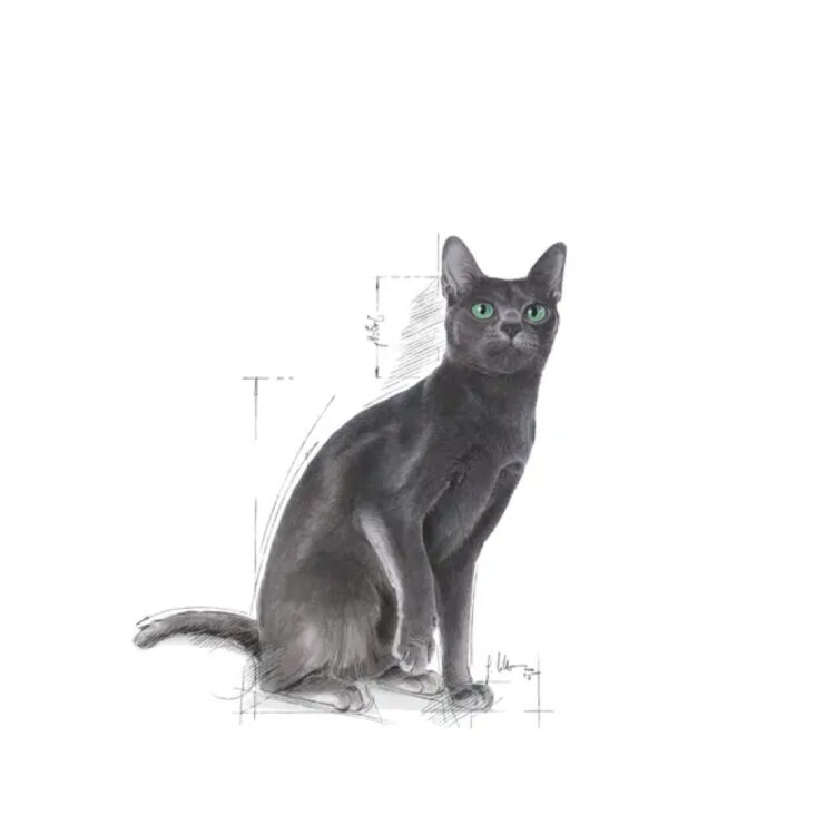 royal-canin-cat-sterilised-37-3