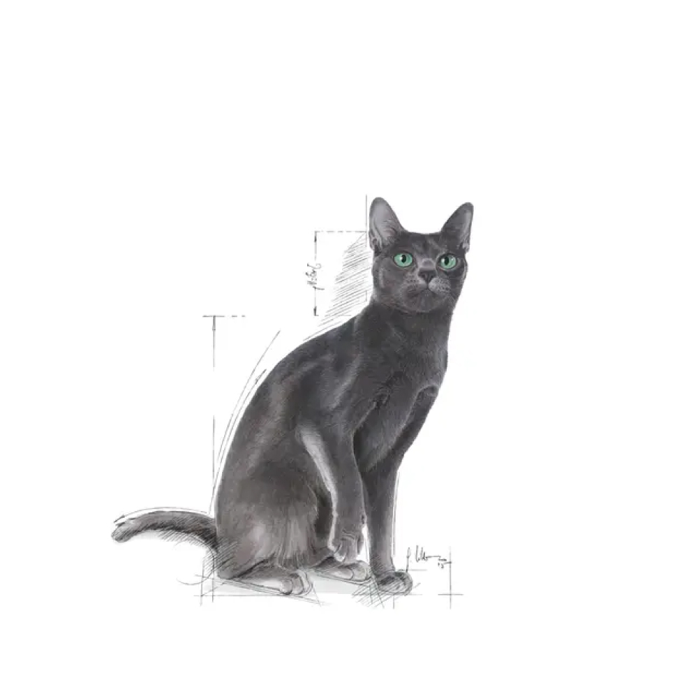 royal-canin-cat-sterilised-37-3