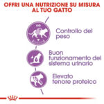 royal-canin-cat-sterilised-37-5