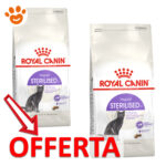 royal-canin-cat-sterilised-37-mp