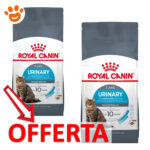 royal-canin-cat-urinary-care-mp