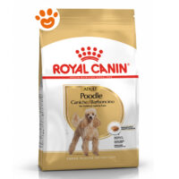 Royal Canin Dog Adult Poodle (Barboncino)