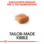 royal-canin-dog-adult-barboncino-poodle-gallery