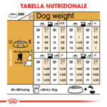 royal-canin-dog-adult-barboncino-poodle-gallery-4