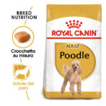 royal-canin-dog-adult-barboncino-poodle-gallery-6