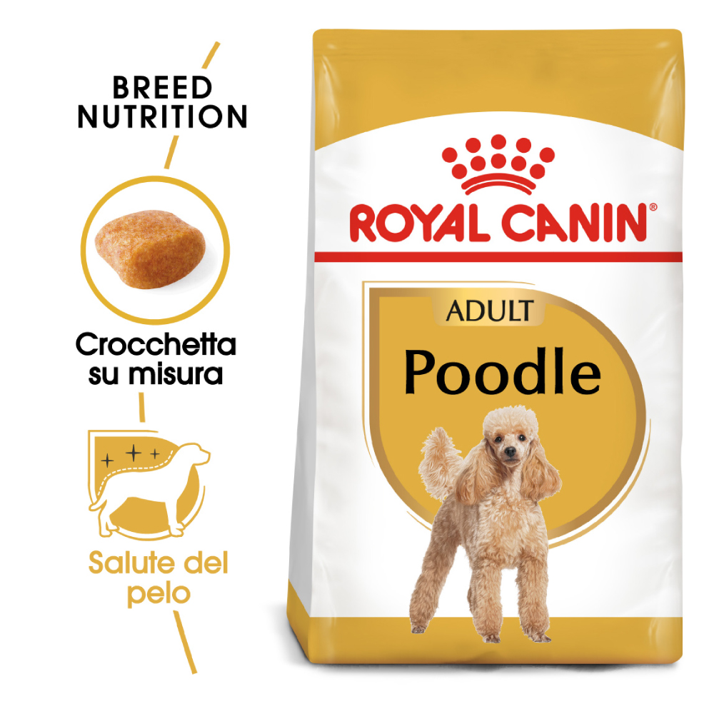 royal-canin-dog-adult-barboncino-poodle-gallery-6