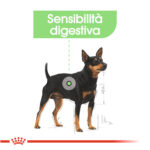 royal-canin-dog-ccn-mini-digestive-care-gallery-6